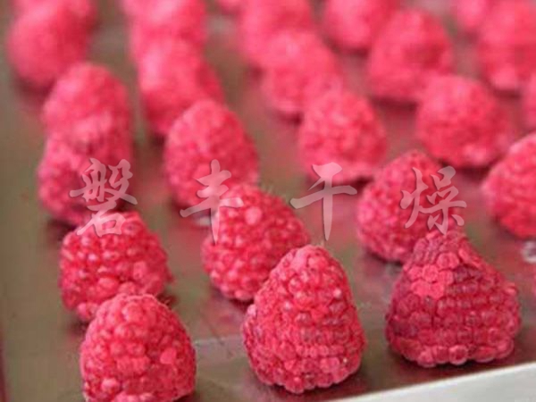 果蔬凍干機(jī)