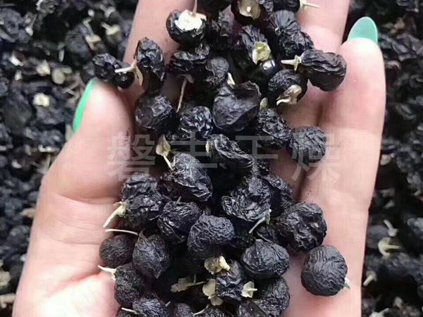 黑枸杞凍干機(jī)