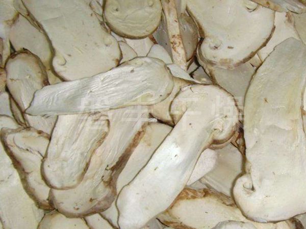 松茸凍干機(jī)