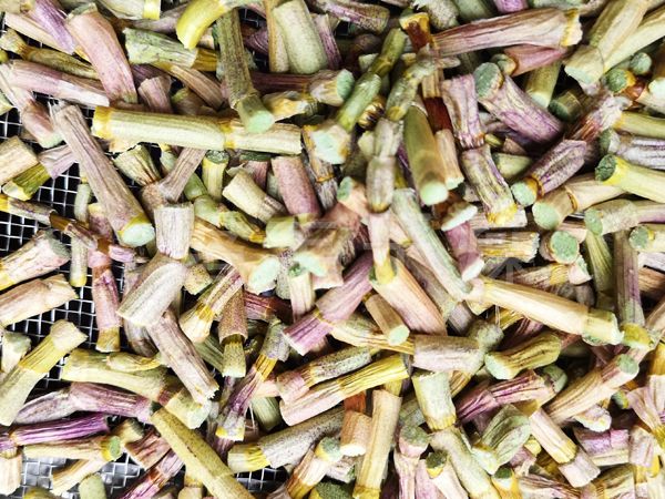 石斛凍干機(jī)